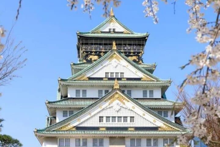 8 Days Best Of Japan Family Small Group — photo 9