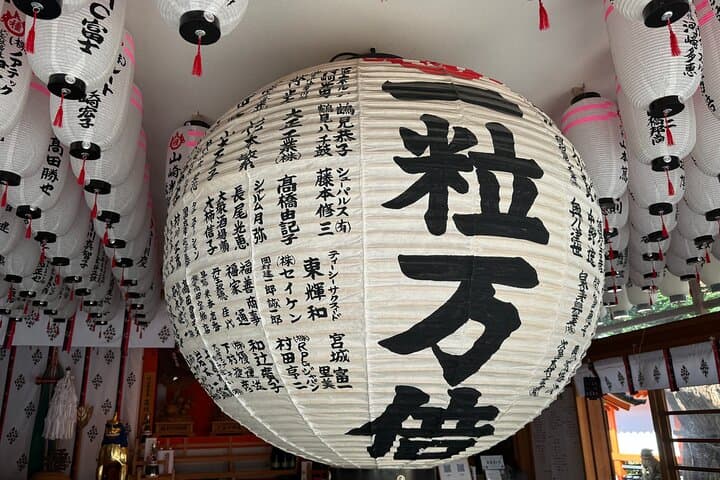 Osaka’s Hidden Gem: Sumiyoshi Taisha Shrine Tour in 90 Minutes — photo 3