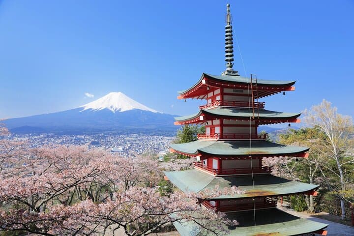 Seasonal Mt. Fuji Scenic Views, Fruit Picking and Ropeway Ride — photo 12