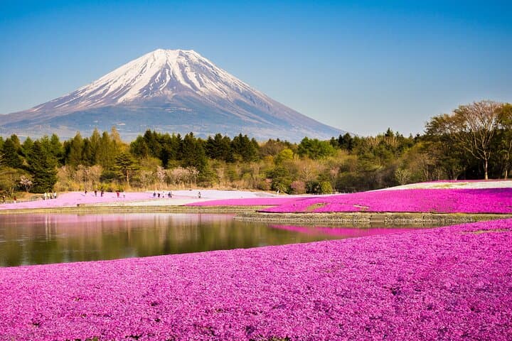 Seasonal Mt. Fuji Scenic Views, Fruit Picking and Ropeway Ride — photo 2