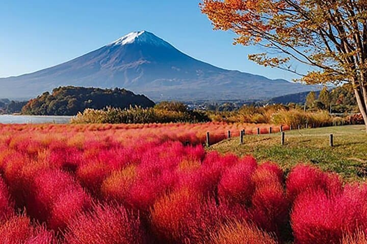 Enjoy Mt. Fuji View and free time shopping at Gotemba Outlets! — photo 4