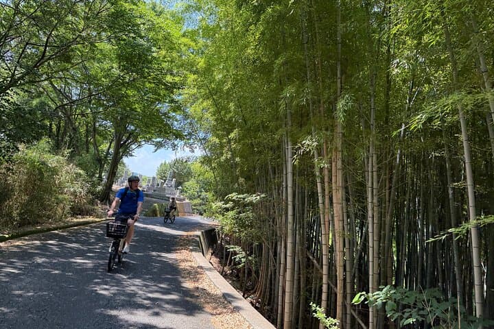 Savor Setouchi inland sea Local Food & Bike Tour with Local Guide — photo 12
