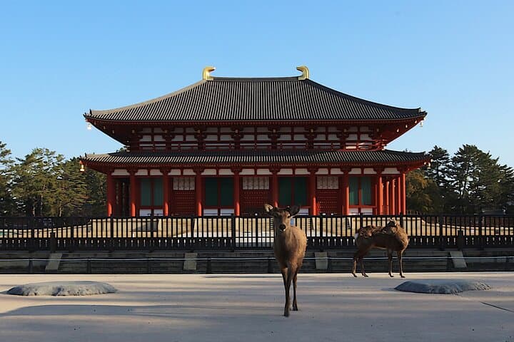 Explore the Timeless Heritage of Nara from Kyoto — photo 2