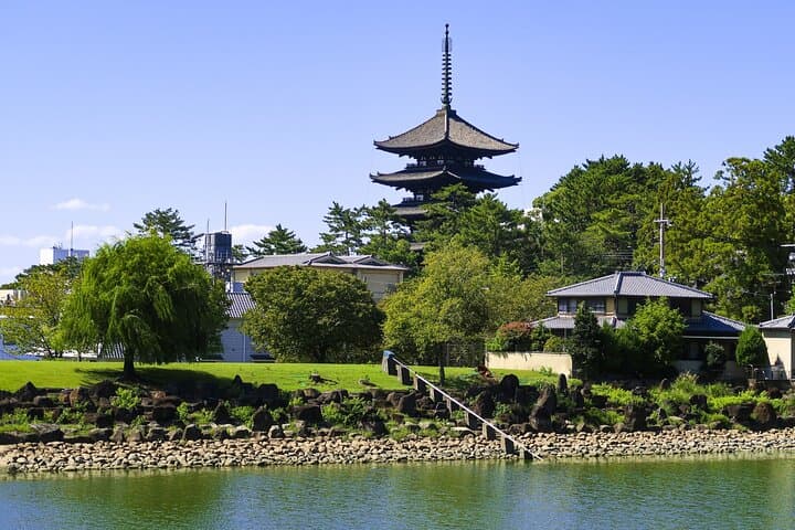 Explore the Timeless Heritage of Nara from Kyoto — photo 3