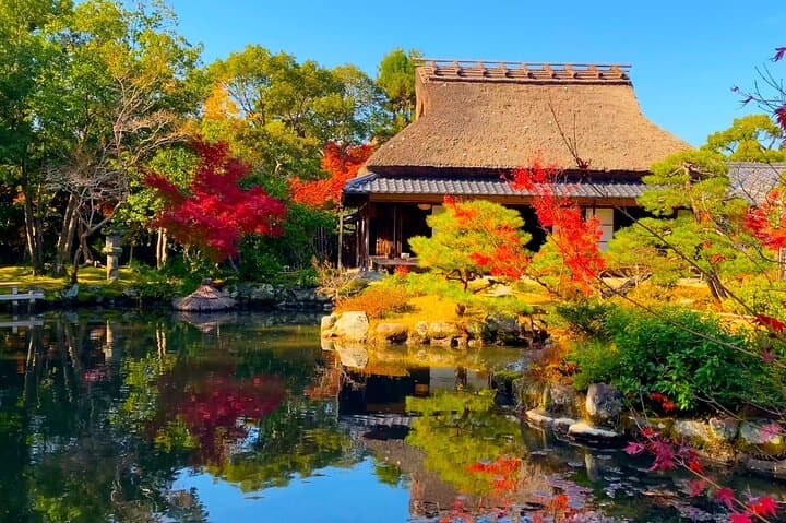 Explore the Timeless Heritage of Nara from Kyoto — photo 1