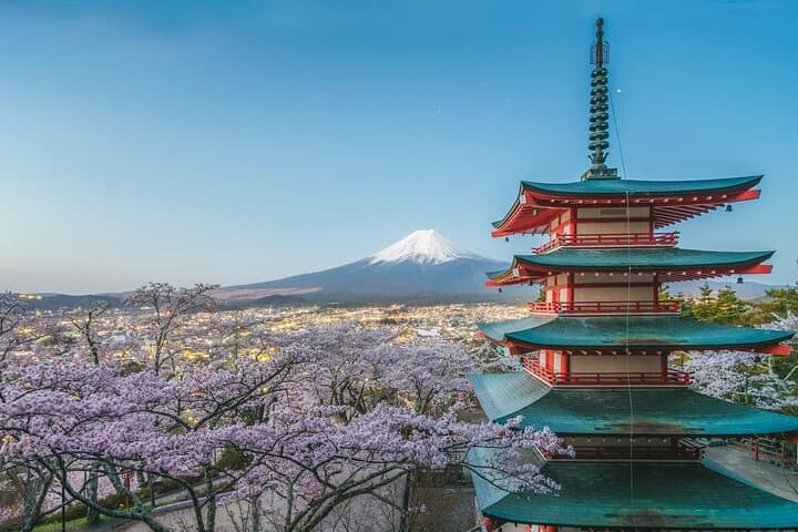 Custom Guided Day Tour to Mt. Fuji with English-Speaking Driver — photo 3