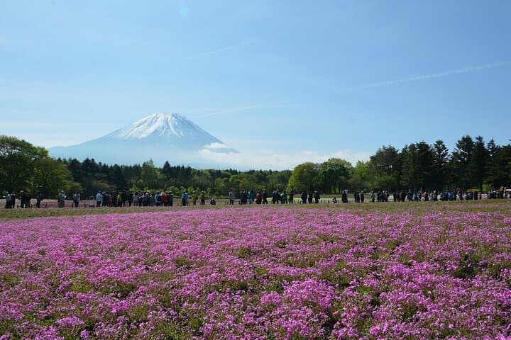 Custom Guided Day Tour to Mt. Fuji with English-Speaking Driver — photo 5