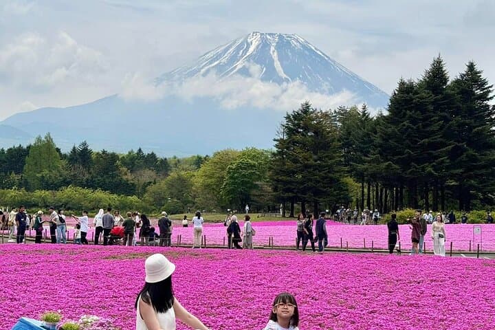 Custom Guided Day Tour to Mt. Fuji with English-Speaking Driver — photo 6