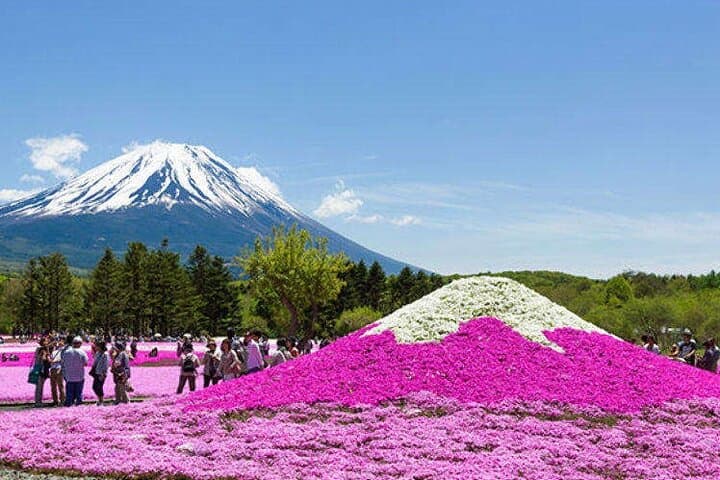 Custom Guided Day Tour to Mt. Fuji with English-Speaking Driver — photo 8