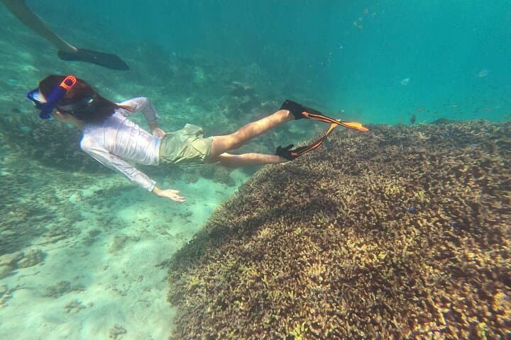 Private Snorkeling Experience in Yambaru (North Okinawa) — photo 4