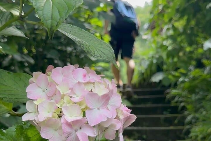 Kyoto’s ONLY COUNTRYSIDE E-Bike Tour with a Japanese Local! — photo 15