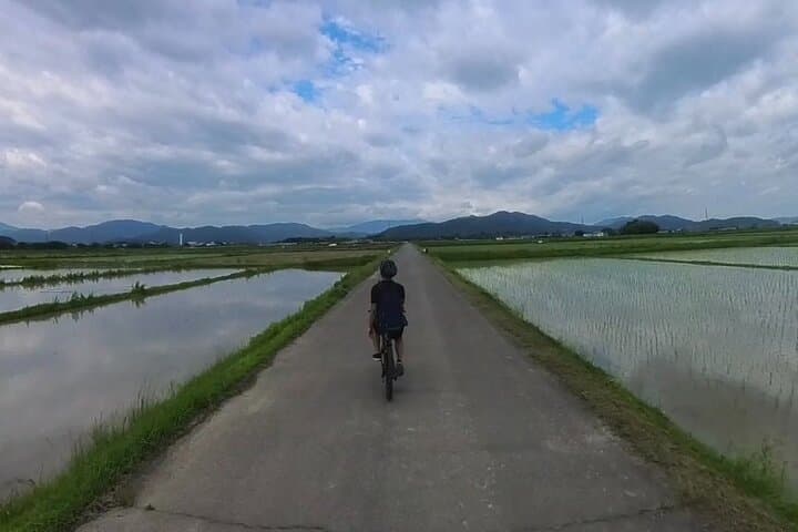 Kyoto’s ONLY COUNTRYSIDE E-Bike Tour with a Japanese Local! — photo 13