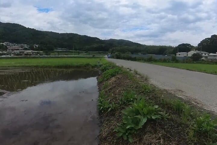 Kyoto’s ONLY COUNTRYSIDE E-Bike Tour with a Japanese Local! — photo 17