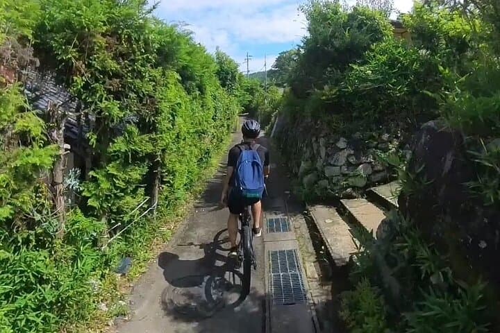 Kyoto’s ONLY COUNTRYSIDE E-Bike Tour with a Japanese Local! — photo 20