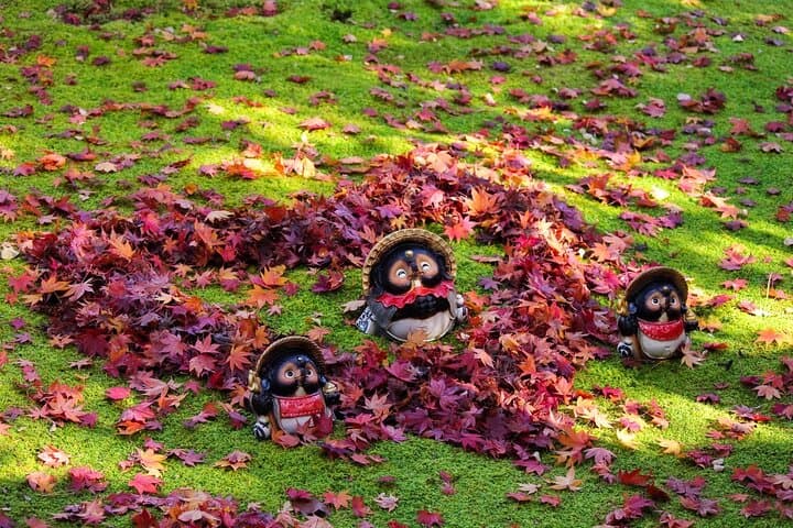 Kyoto Arashiyama Easy Walk Tour — photo 2