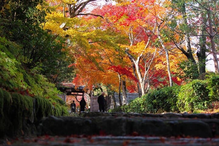 Kyoto Arashiyama Easy Walk Tour — photo 3