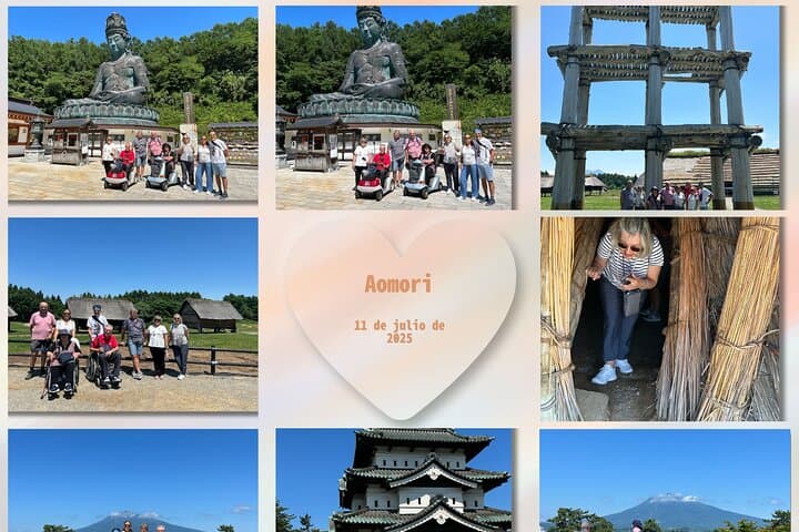 Private Car Tour of Aomori Golden Route — photo 11