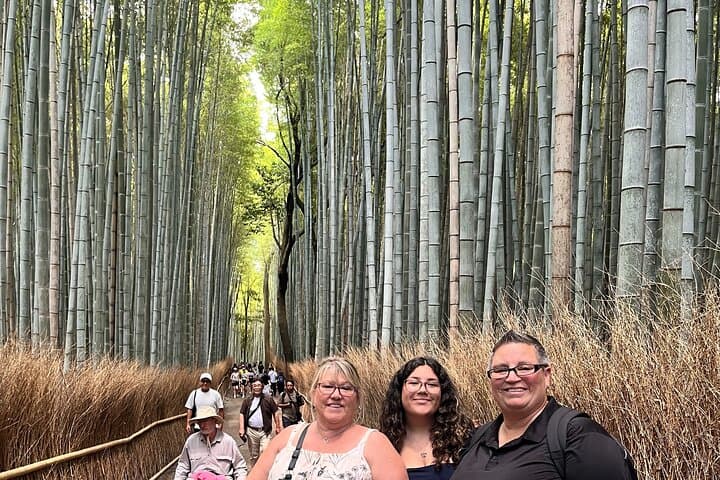 Day Trip Kyoto from Tokyo with a Licensed Guide by Bullet Train — photo 18