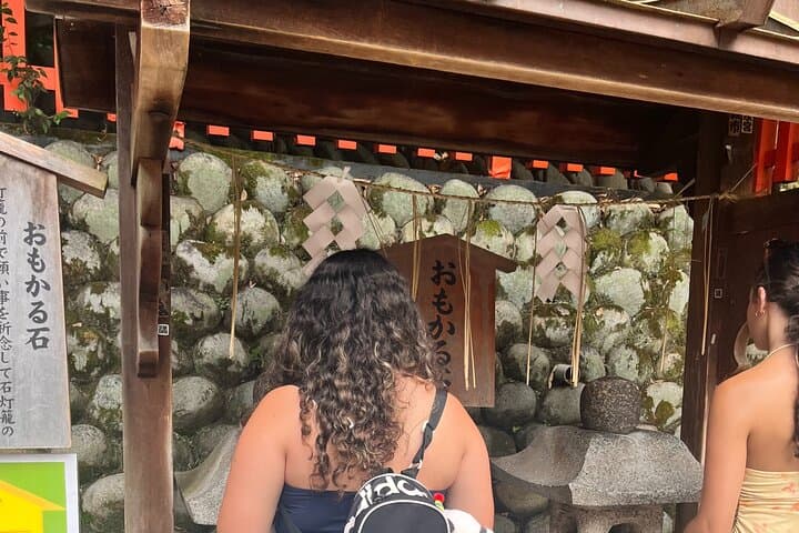 Day Trip Kyoto from Tokyo with a Licensed Guide by Bullet Train — photo 19