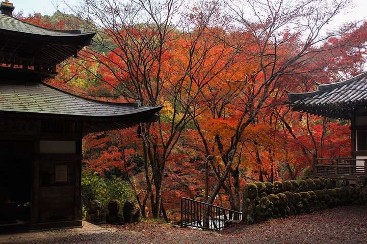 Kyoto Arashiyama Easy Walk Tour — photo 8