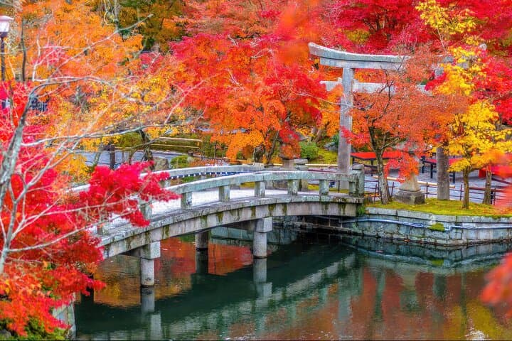Kyoto Must Do: Eikando, Nanzenji, Zen Temples & Secrets — photo 1