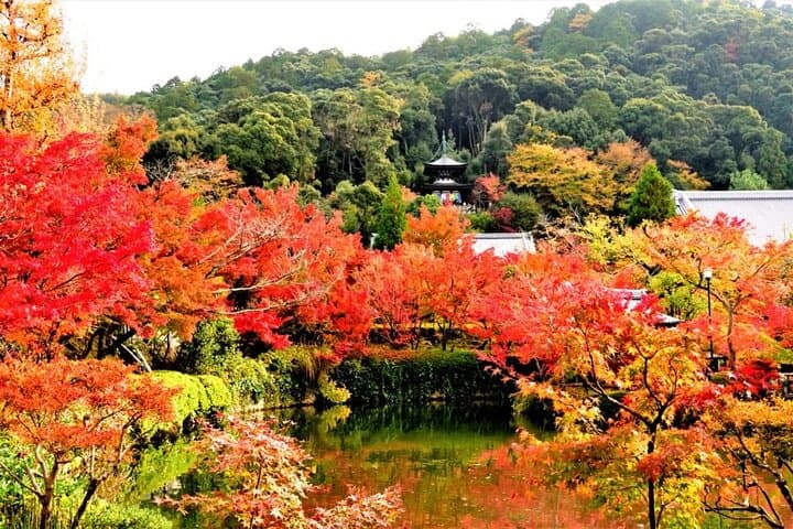 Kyoto Must Do: Eikando, Nanzenji, Zen Temples & Secrets — photo 11