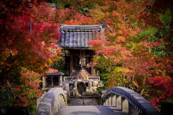 Kyoto Must Do: Eikando, Nanzenji, Zen Temples & Secrets — photo 12