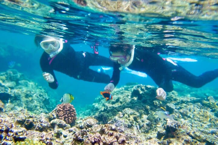 Kayak and Blue Cave Snorkeling Adventure — photo 4