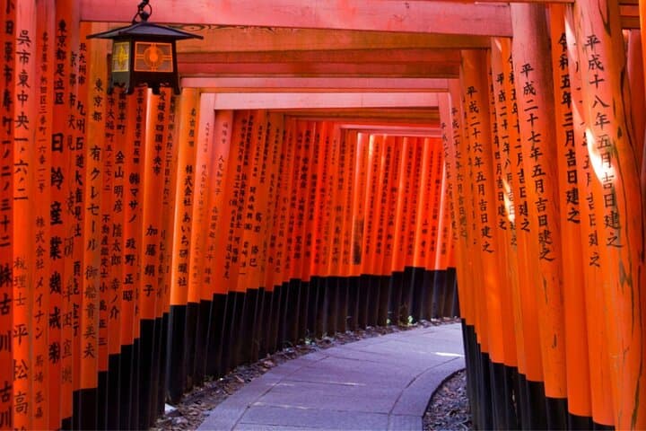 Crowd-Free Kyoto: Fushimi Inari, Nijo Castle & Kinkaku-ji — photo 12