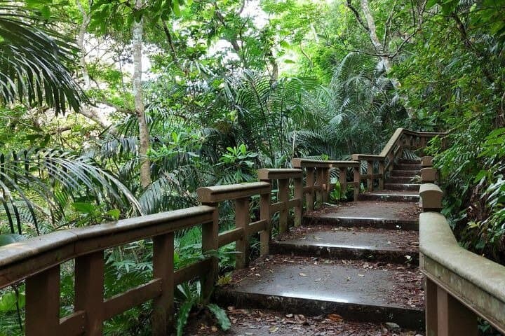 All-Inclusive Ishigaki Island Shore Excursion with English Guide — photo 20