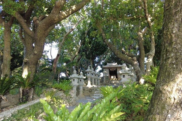 All-Inclusive Ishigaki Island Private tour with English Guide — photo 14