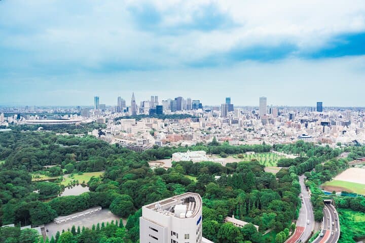 Discover Japanese Politics Over a Coffee in Tokyo — photo 17