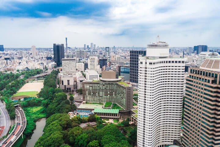 Discover Japanese Politics Over a Coffee in Tokyo — photo 19
