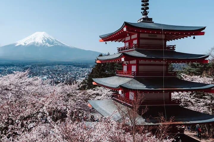 Ultimate Fuji Photography Expedition Hidden Gems — photo 9