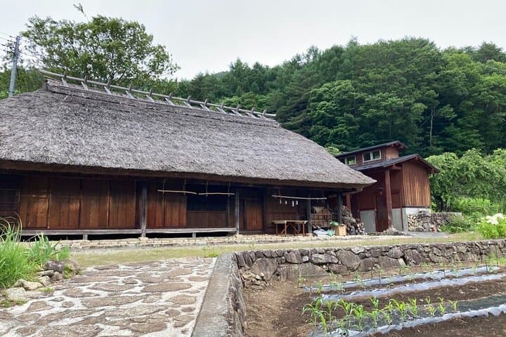 Mt. Fuji Views and Rural Japan A Scenic Cultural Day Trip — photo 6