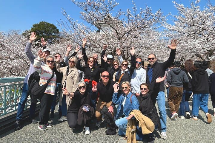 Kanazawa Highlight by Private Car