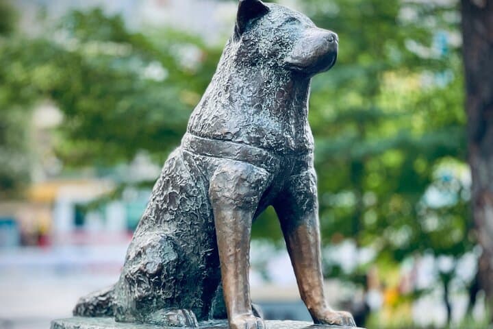 Tokyo Essentials Iconic Neighborhoods and Local Secrets — photo 8