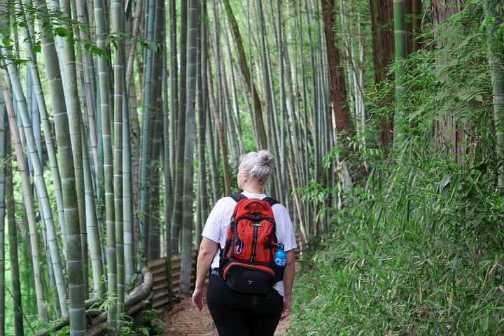 Kyoto: Fushimi Inari Hidden Hike (Private) — photo 10