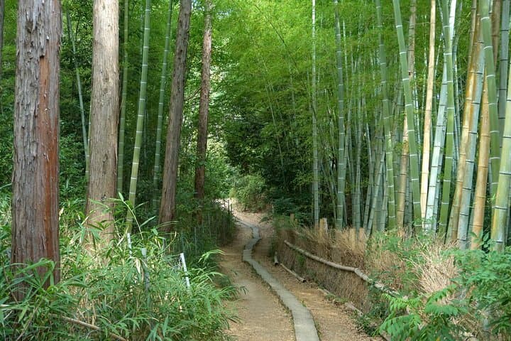 Kyoto: Fushimi Inari Hidden Hike (Private) — photo 12