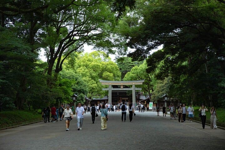 Harajuku Meiji Shrine Walking Tour in Tokyo — photo 6