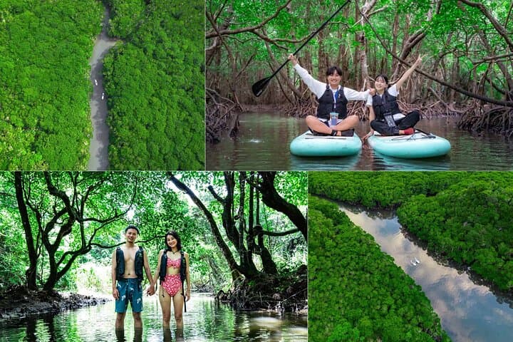 Ishigaki Mangrove and Sea SUP or Kayak with Drone and SLR Footage — photo 2