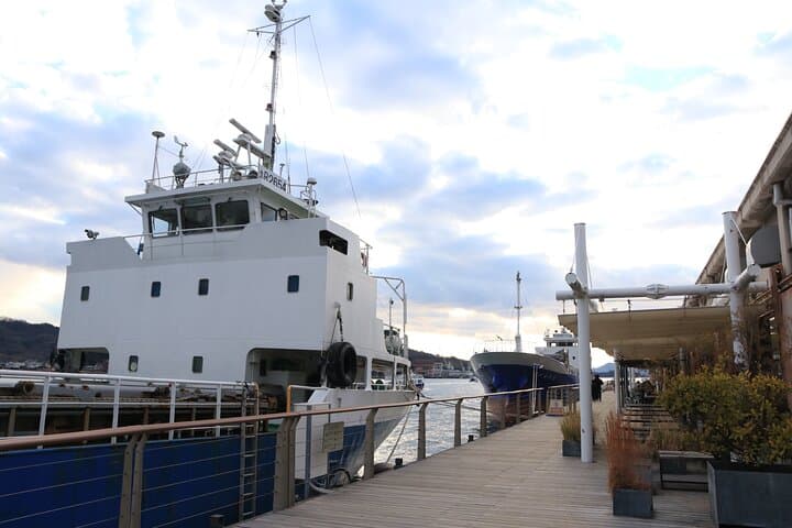 Onomichi Private Tour — photo 11