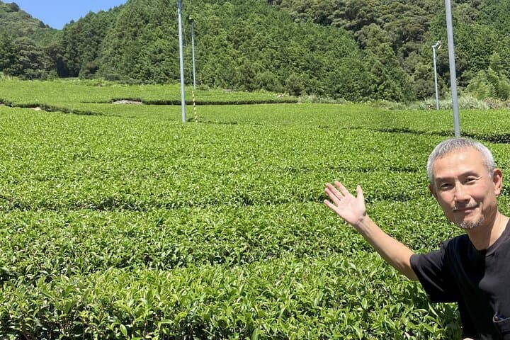 Tea & Soba Experience at a Farmer’s Home —Solo Traveler Welcome — photo 5