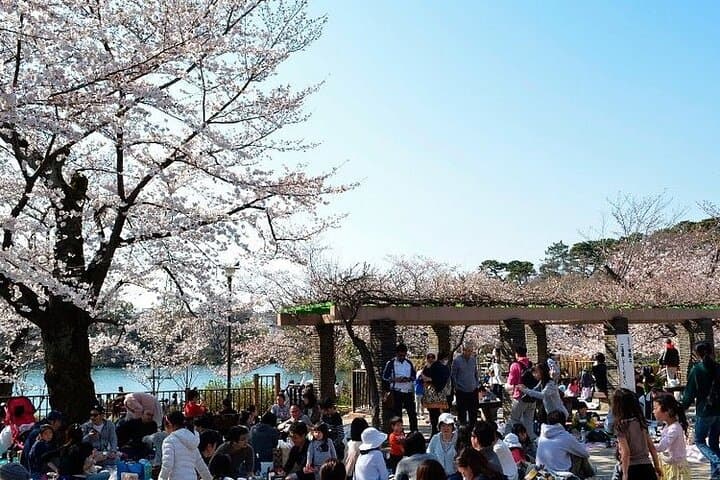 Let's take a walk in the park together!!! — photo 8