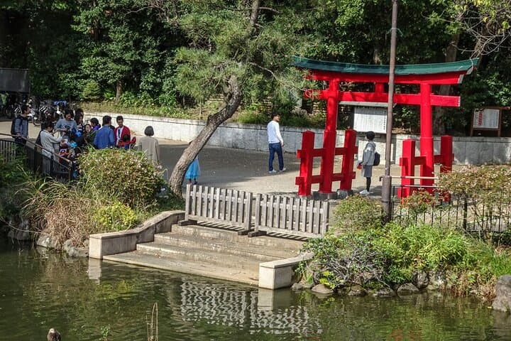 Let's take a walk in the park together!!! — photo 10
