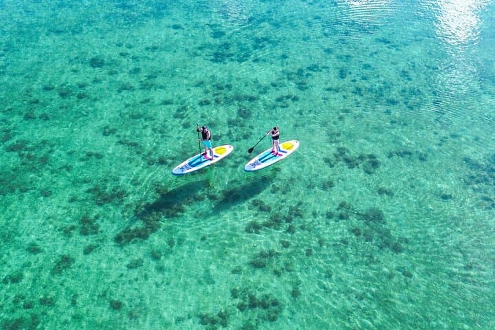 Ishigaki Mangrove and Sea SUP or Kayak with Drone and SLR Footage — photo 11