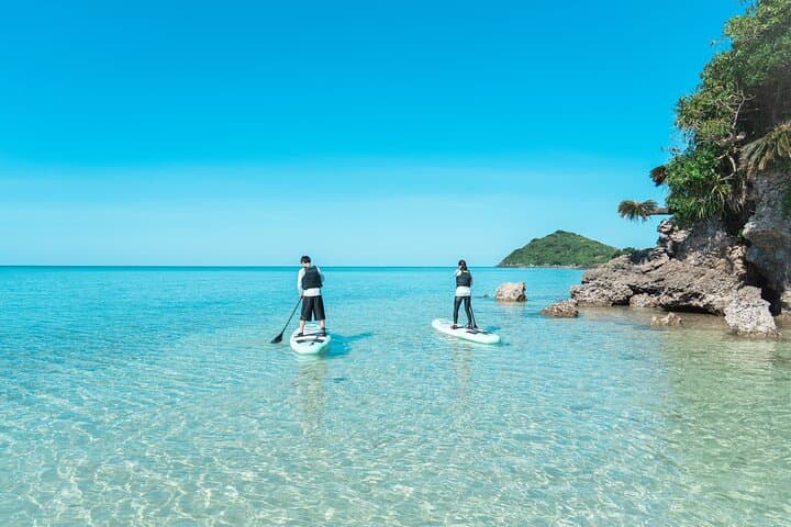 Ishigaki Mangrove and Sea SUP or Kayak with Drone and SLR Footage — photo 17