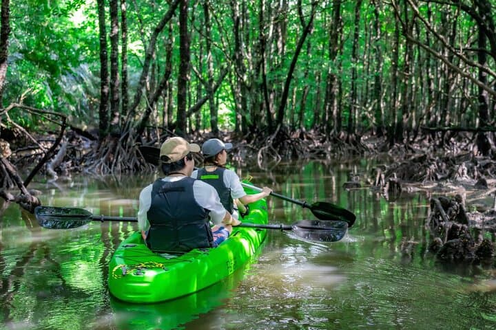 Ishigaki Mangrove and Sea SUP or Kayak with Drone and SLR Footage — photo 18