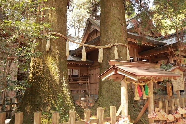 Kumamoto Route 1 Day Bus Trip: Takachiho Gorge and Local Lunch — photo 3