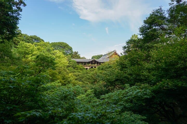 Kyoto: Fushimi Inari Hidden Hike (Private) — photo 18